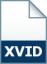 Xvid-Encoded Video File
